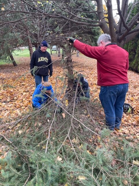 Four People Cutting Down a Tree