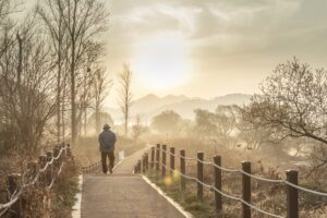 person walking as if in prayer, pixabay