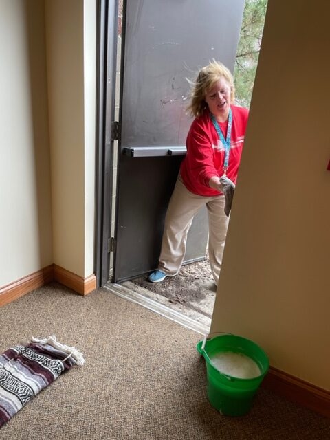Michelle Cleaning doors