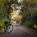 Bicycle on a paved trail, pixabay
