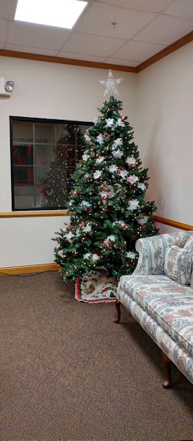 Christmas Tree in History Room