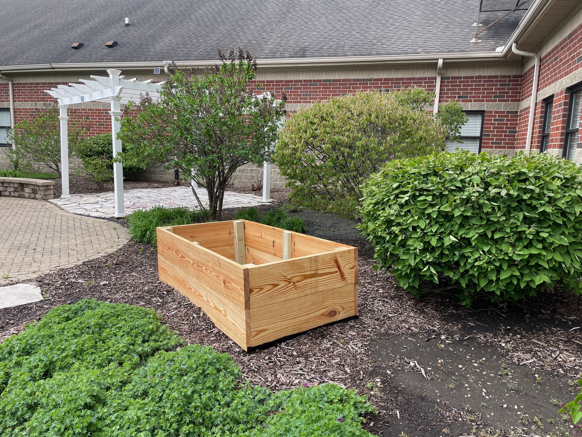 Raised bed installed in the backyard