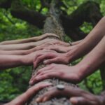 picture of hands on a tree - taken by shane rounce-unsplash