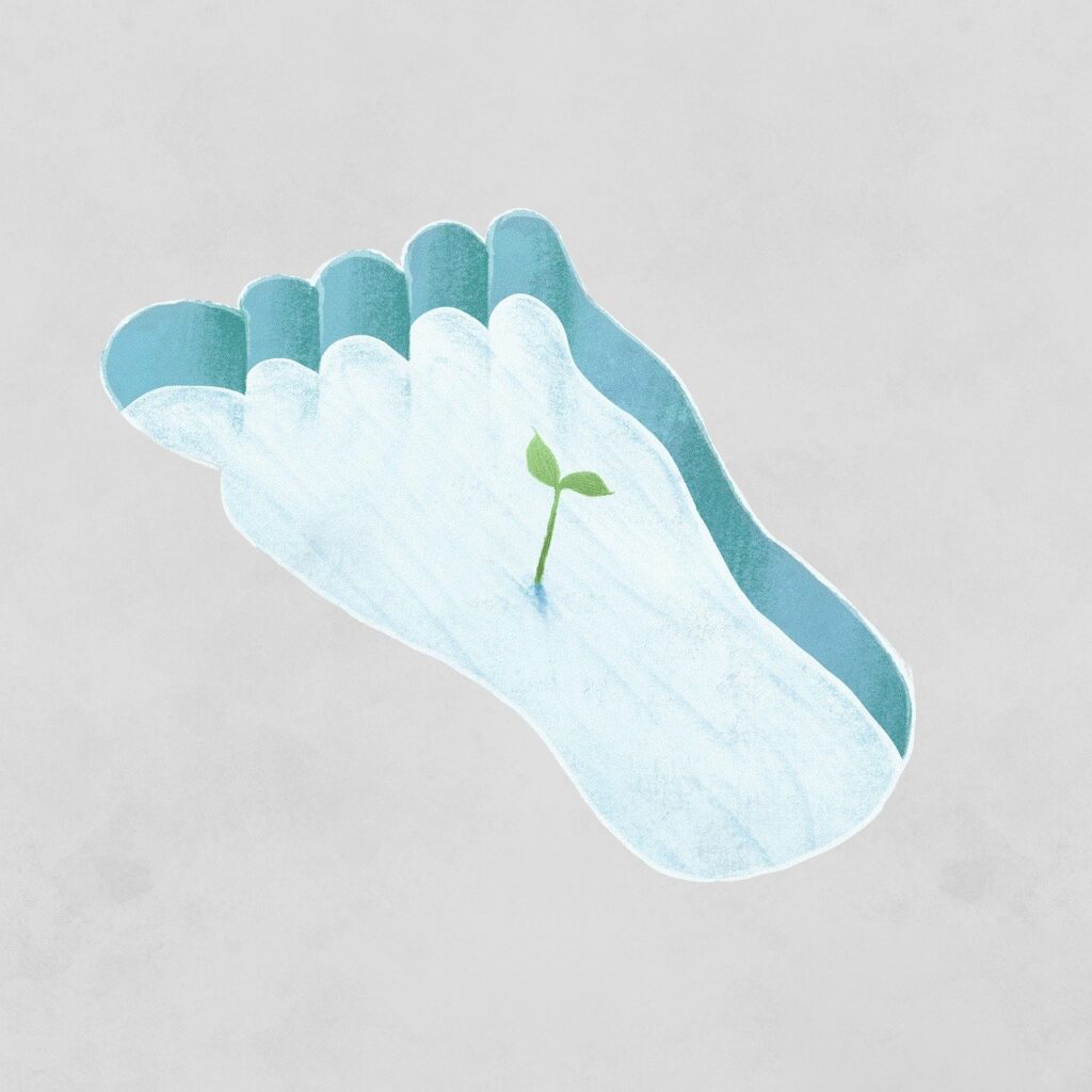 Blue snow foot print with a plant growing in it, pixabay
