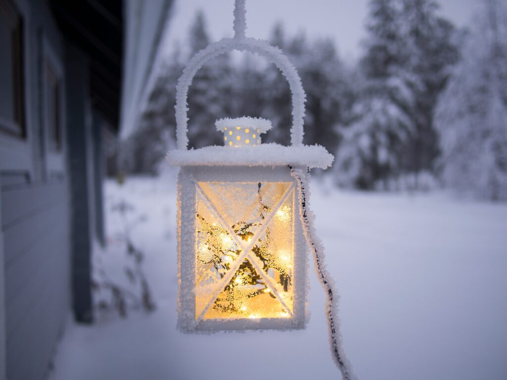 winter light in the snow