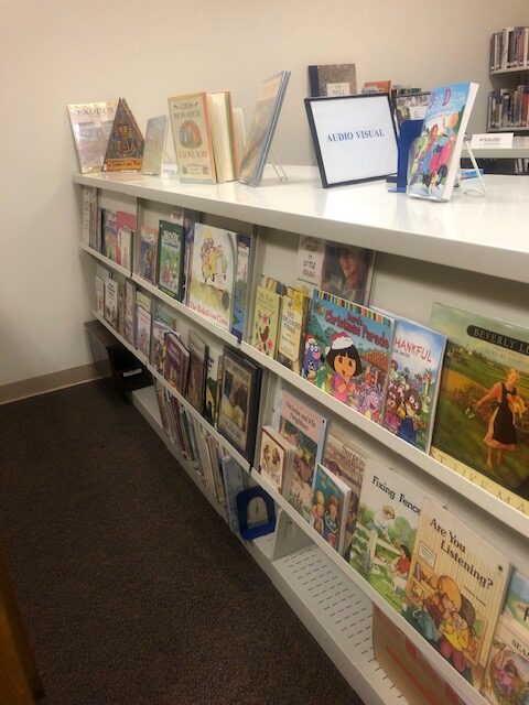 Library Shelves
