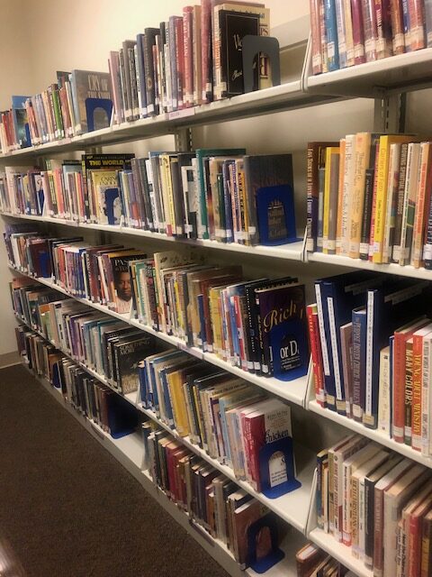 Library Shelves