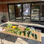 Fresh food offered on July 22