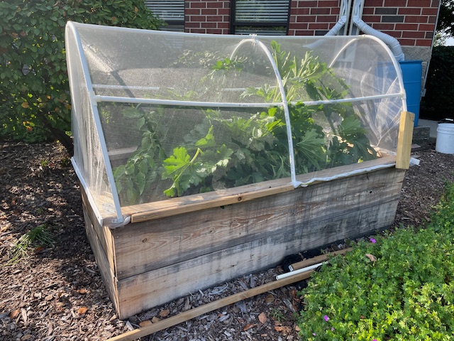 Garden Box