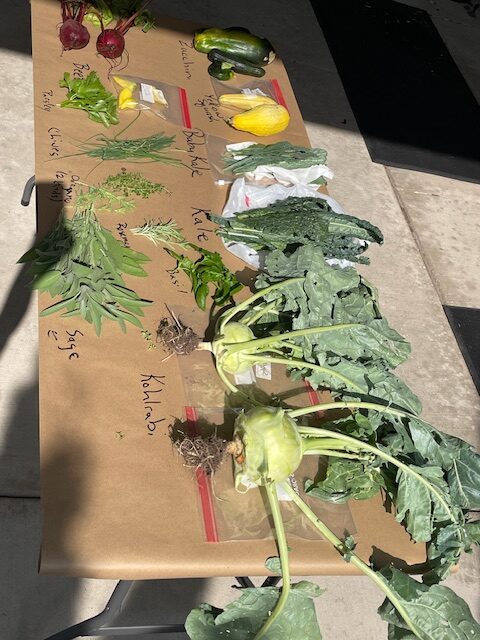 Vegetables offered July 15