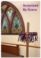 Surprised by Grace Series